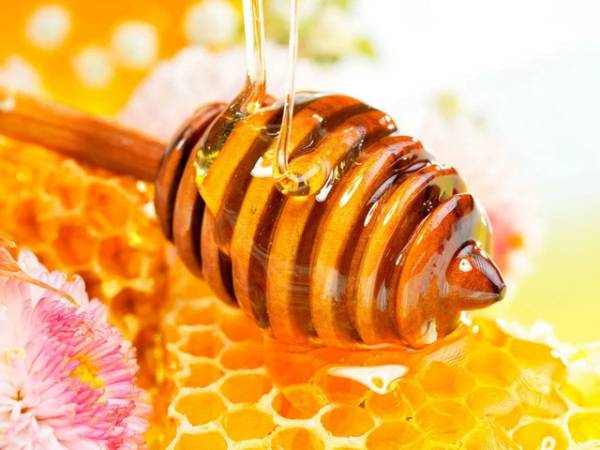 Cách phân biệt mật ong thật đơn giản nhất
