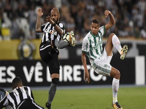 Nhận định bóng đá giữa Botafogo vs Palmeiras, 6h ngày 4/10