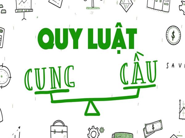 Quy luật cung cầu: Cung là gì? Cầu là gì?