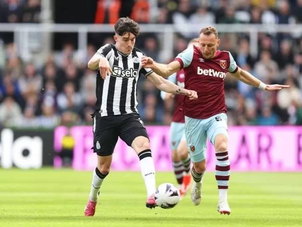 Tip bóng đá Newcastle vs West Ham, 03h00 ngày 26/11: Ai sẽ chiếm ưu thế?