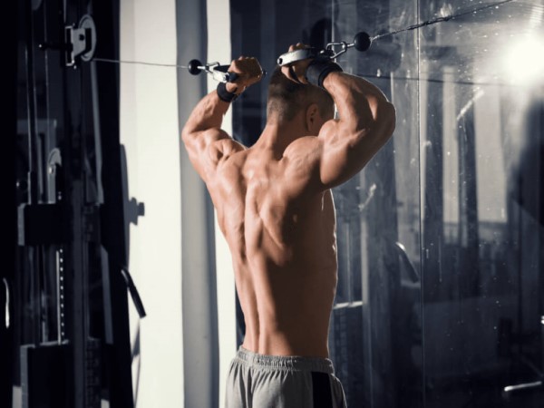 Phân tích chi tiết các buổi tập