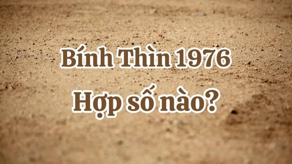 Tuổi Bính Thìn 1976 hợp với con số nào để đổi vận?