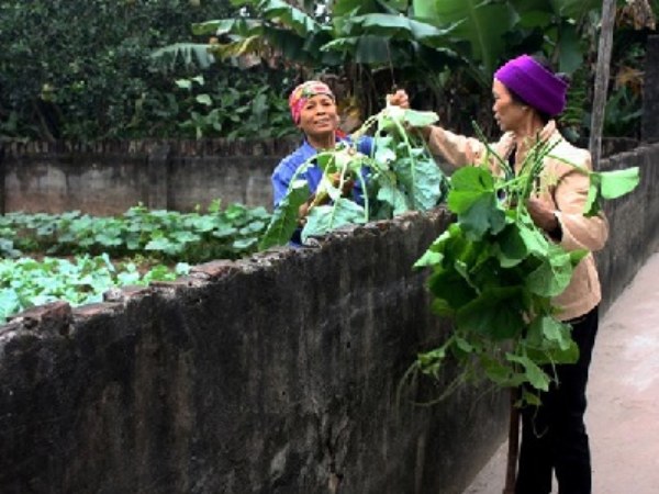 Phân tích giấc mơ thấy hàng xóm theo góc nhìn tâm lý học