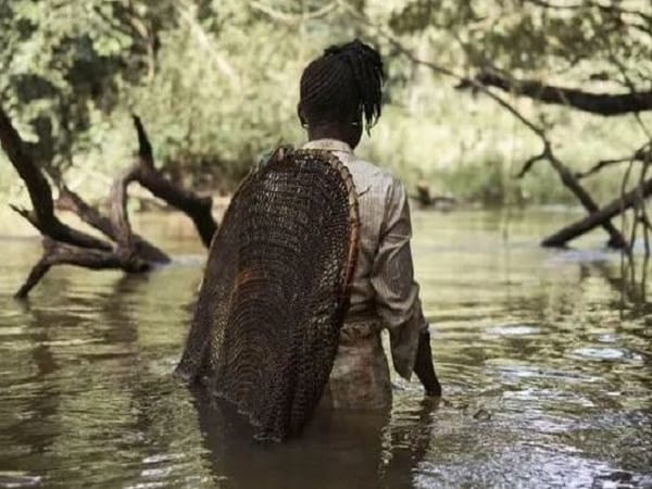 Nằm mộng thấy lội nước bắt cua